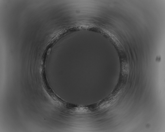 X0000097910451200803281406