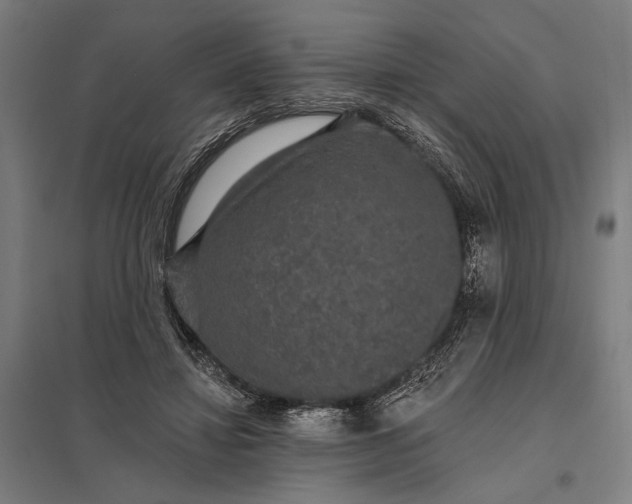 X0000097910452200803281406