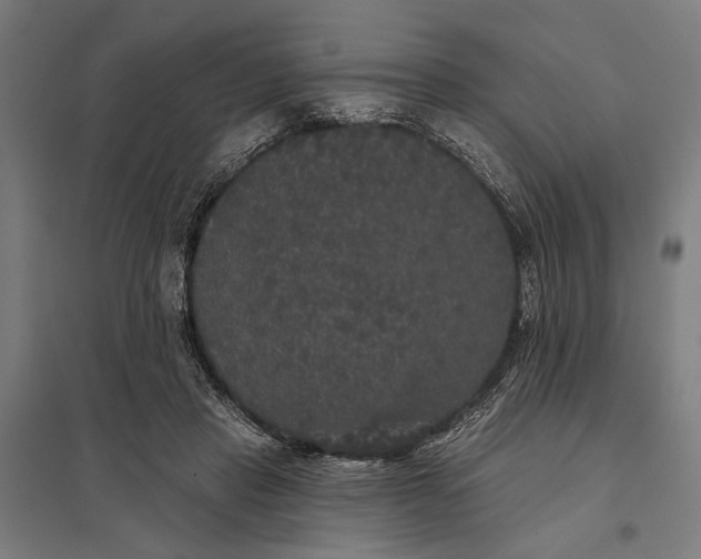 X0000097910453200803281406