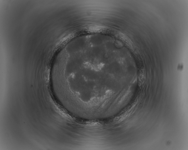 X0000097910454200803281406