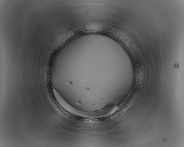 X0000097910455200803281406