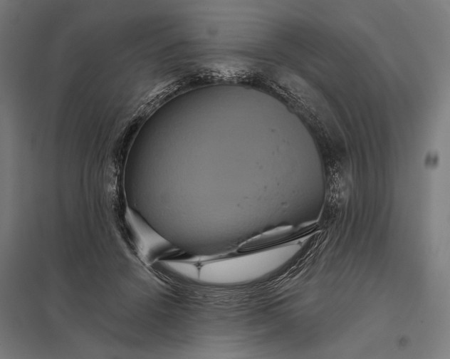 X0000097910456200803281406