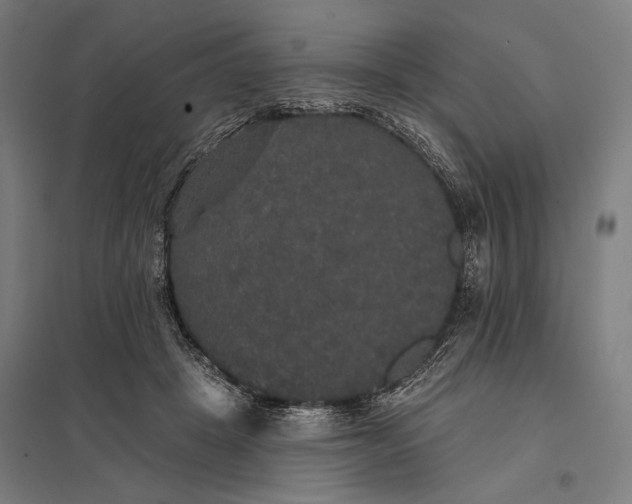 X0000097910457200803281406