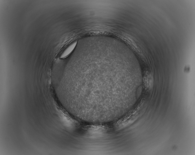 X0000097910458200803281406