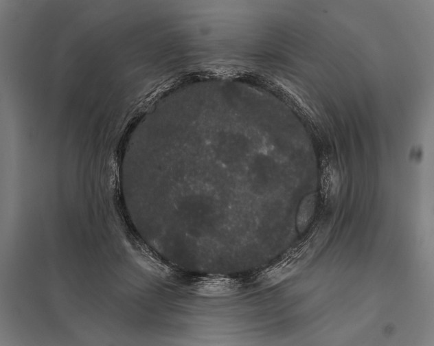 X0000097910459200803281406