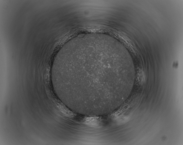 X0000097910461200803281406