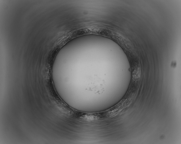 X0000097910464200803281406