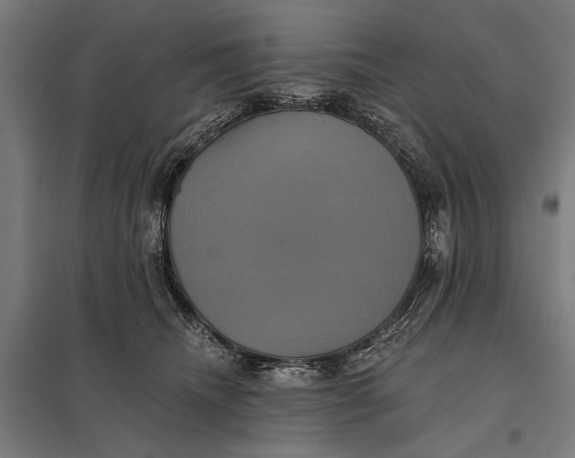 X0000097910468200803281407