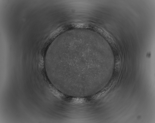 X0000097910469200803281407