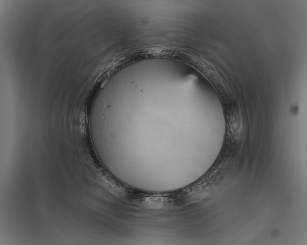 X0000097910470200803281407