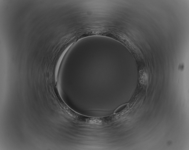 X0000097910471200803281407