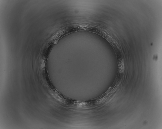 X0000097910472200803281407