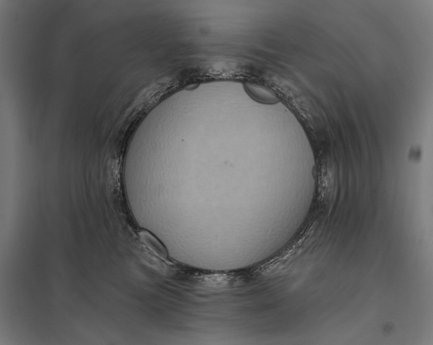 X0000097910473200803281407