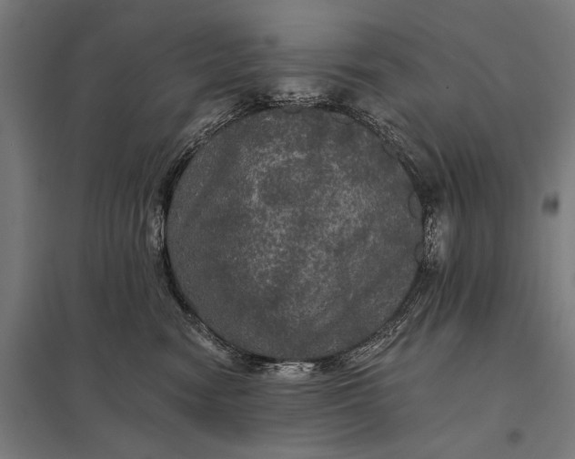 X0000097910474200803281407