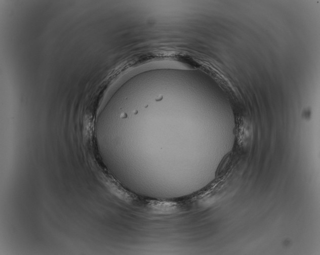 X0000097910476200803281407