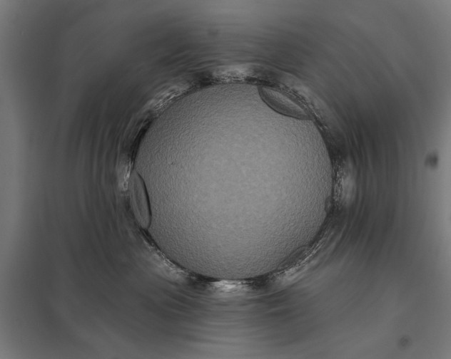 X0000097910477200803281407