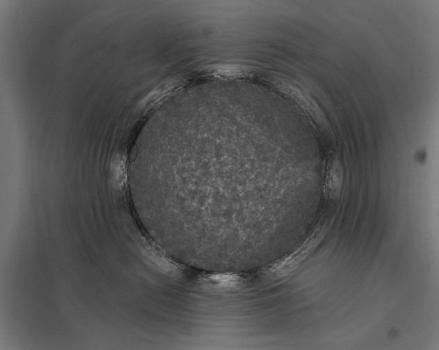 X0000097910478200803281407