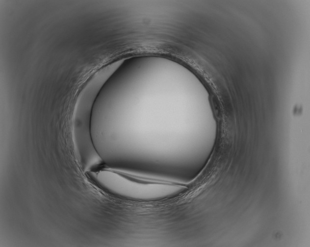 X0000097910481200803281406