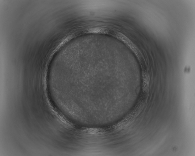 X0000097910482200803281406