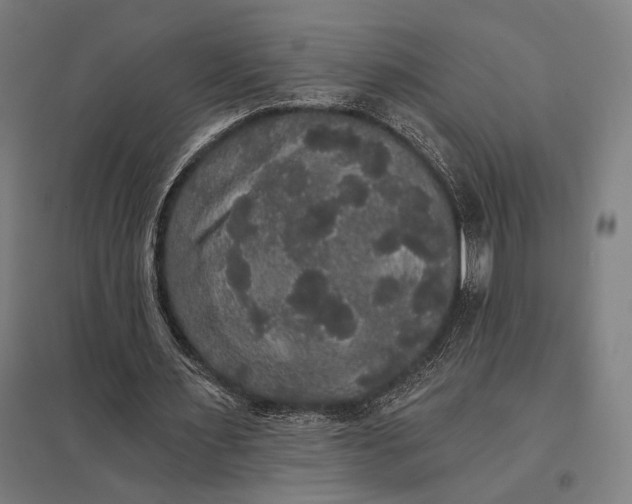 X0000097910483200803281406