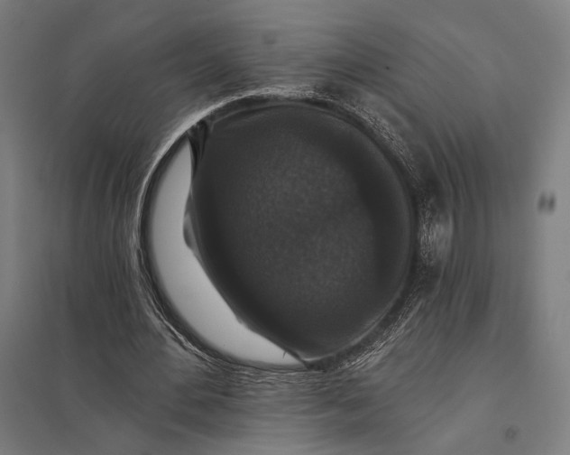 X0000097910484200803281406