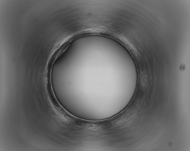 X0000097910486200803281406