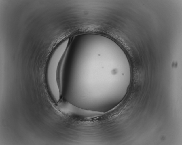 X0000097910489200803281406