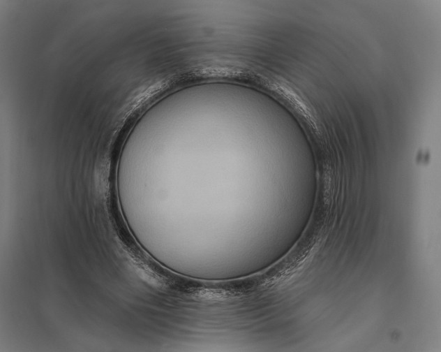 X0000097910490200803281406