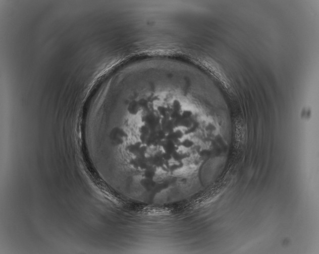 X0000097910491200803281406