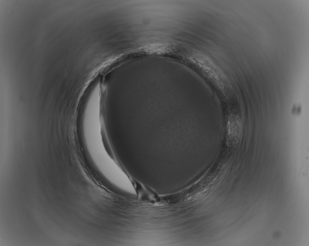 X0000097910492200803281406