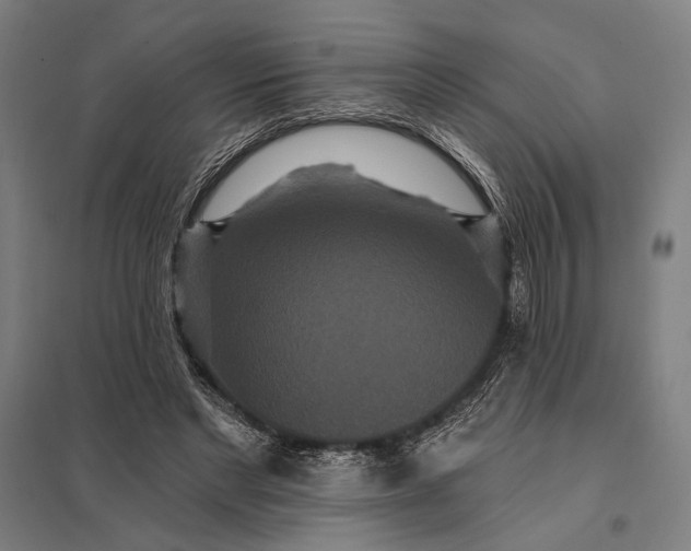 X0000097910493200803281406