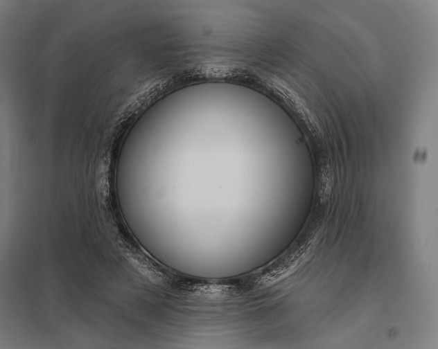 X0000097910497200803281406