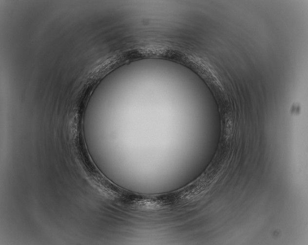 X0000097910498200803281406