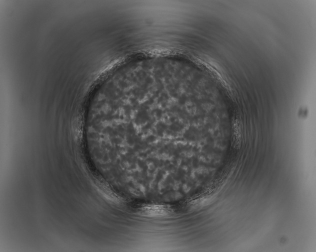 X0000097910499200803281406