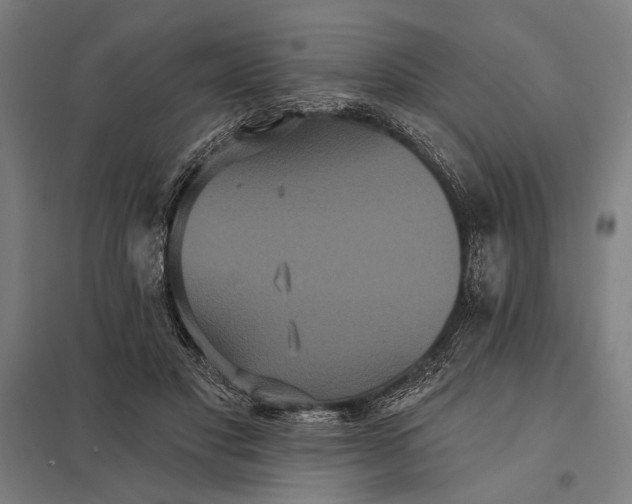 X0000097910501200803281406