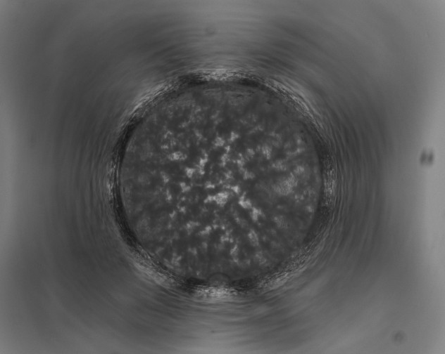 X0000097910503200803281406