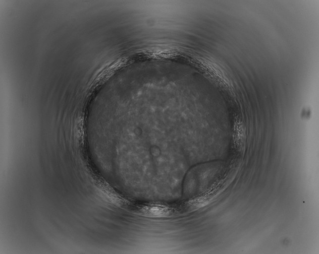 X0000097910506200803281406