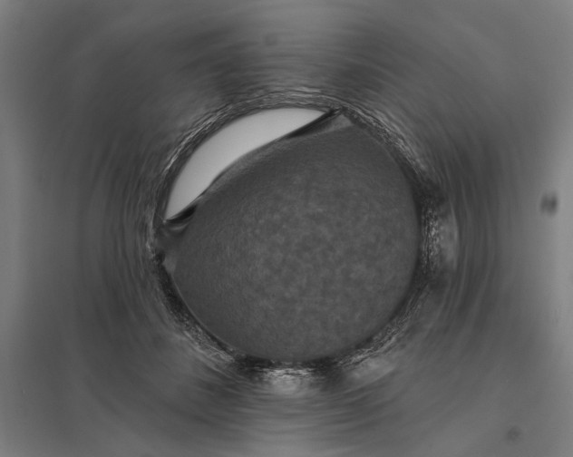 X0000097910508200803281406