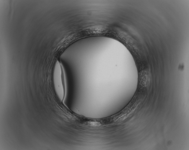 X0000097910509200803281406