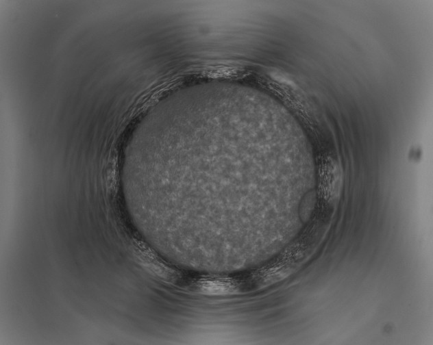 X0000097910510200803281406