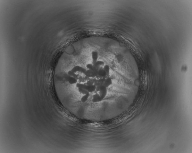 X0000097910511200803281406