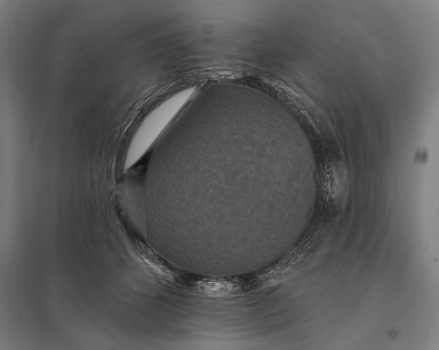 X0000097910512200803281406