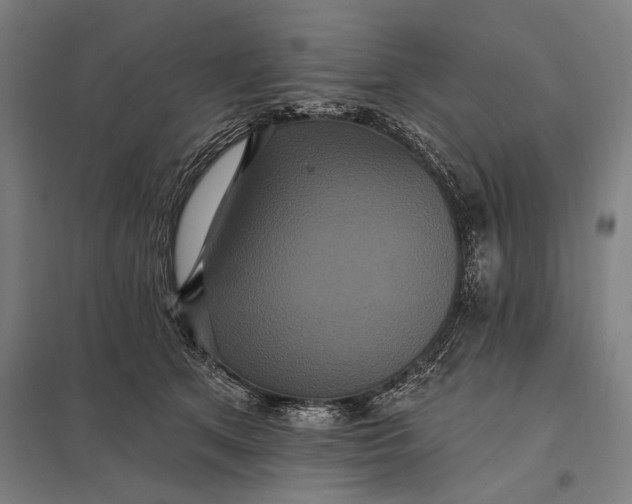 X0000097910513200803281406