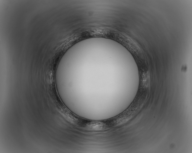 X0000097910514200803281406