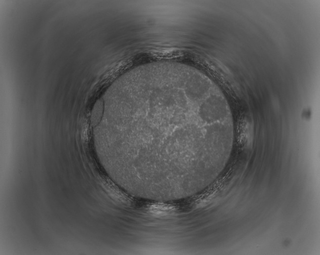 X0000097910515200803281406