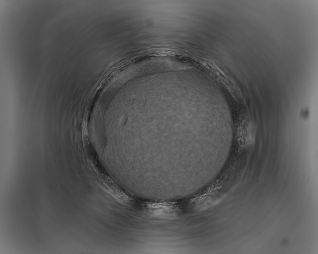 X0000097910516200803281406