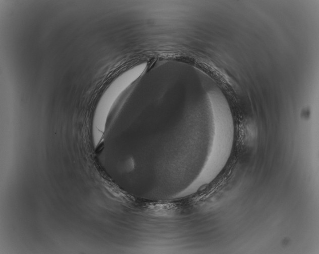 X0000097910517200803281406