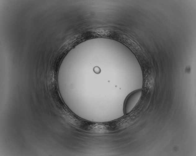 X0000097910518200803281406