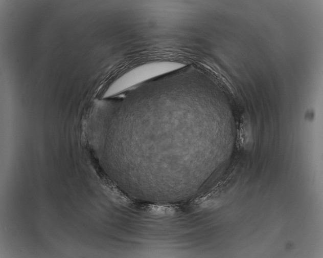 X0000097910520200803281405