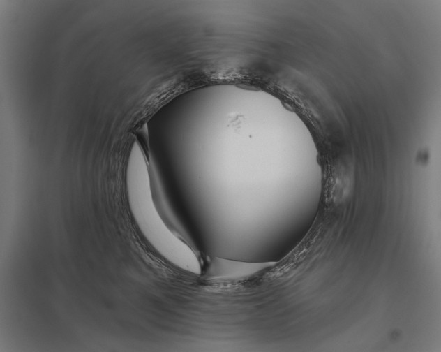 X0000097910521200803281405